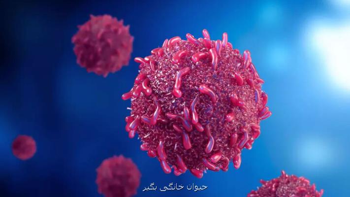 شناسایی ویروس فلج اطفال در نمونه های فاضلاب ۴۲ منطقه در سراسر پاکستان