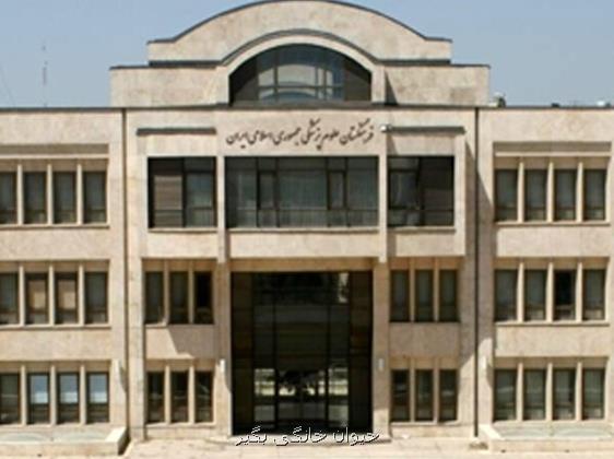 پیشنهاد مرندی به پزشکیان ستاد ملی اصلاح نظام سلامت تشکیل گردد