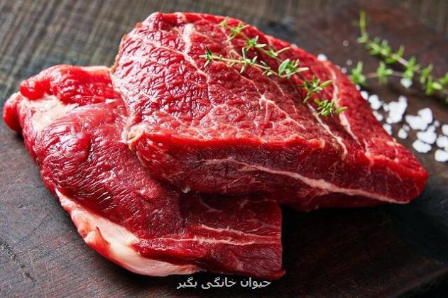 آیا گوشت قرمز پروتئین بیشتری نسبت به گوشت سفید دارد؟