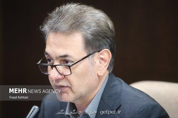 بیمه سلامت آرامش خاطر سالمندان را حفظ می نماید
