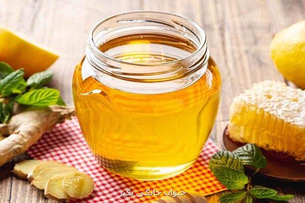 مصرف عسل در دوران حاملگی خطری برای جنین ندارد
