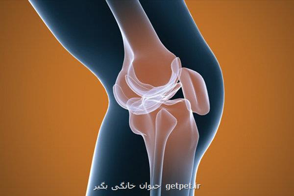 درد ناحیه ران هنگام راه رفتن نشانه چیست