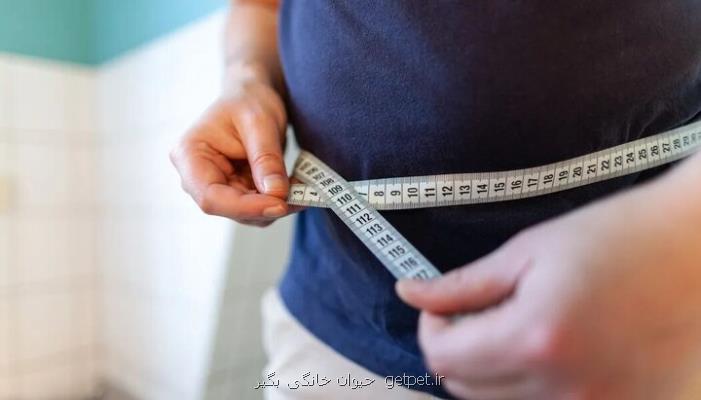 دارو و بوتاکس معده درمان چاقی نیستند