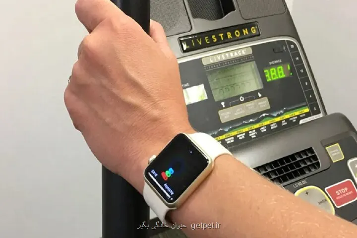 انقلابی در تشخیص بیماری قلبی با ادغام ساعت هوشمند و هوش مصنوعی