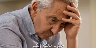 لطمه پنهانی که خطر زوال عقل را بیشتر می کند