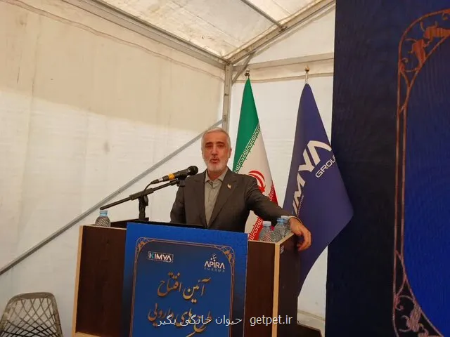 بیشتر از ۸۲ درصد ارزش بازار دارویی کشور در اختیار تولیدکنندگان داخلی است