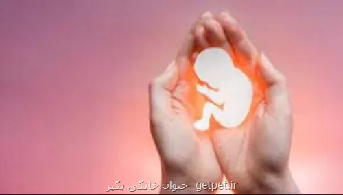 چالش های جوانی جمعیت از کاهش ازدواج تا سقط جنین