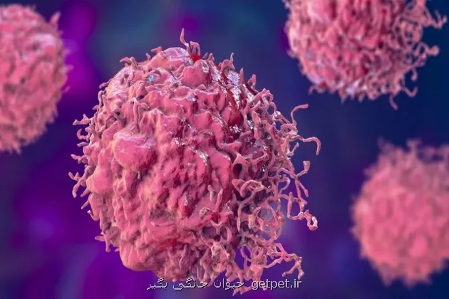 احتمال 20 درصدی مبتلا شدن به سرطان برای هر فرد