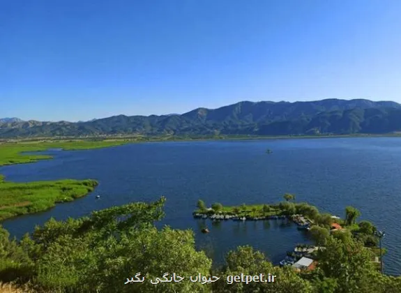 سودجستن از هوش مصنوعی در عرصه تالاب ها