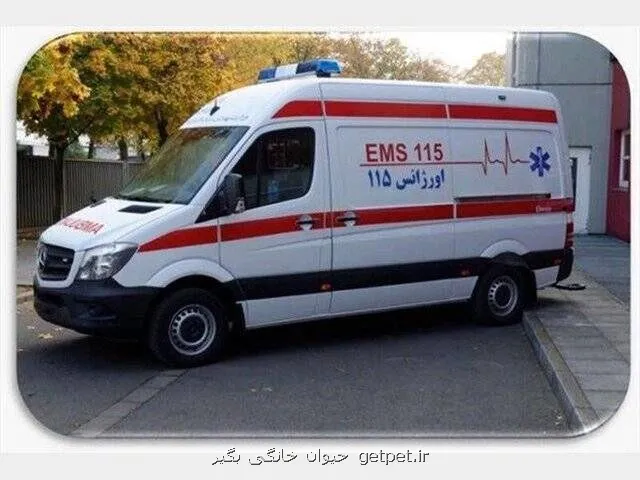 ۵ مصدوم انفجار گاز در پلور مازندران به دماوند و تهران اعزام شدند