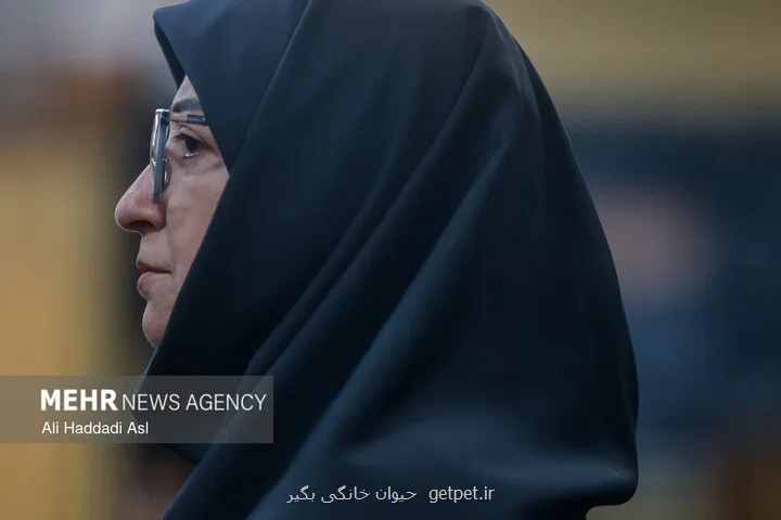 تاکید بر گسترش همکاریهای محیط زیستی با دستگاه قضا