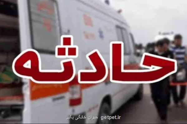 برخورد اتوبوس شرکت واحد با عابر پیاده در تهران