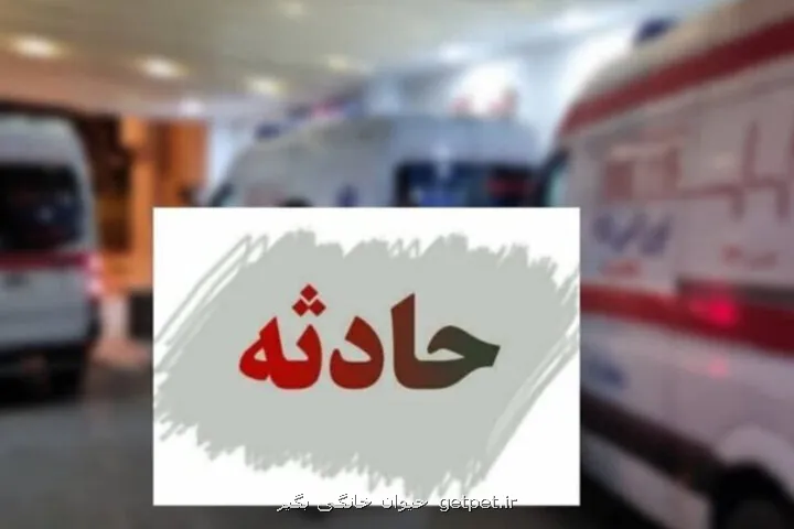 تصادف زنجیره ای در اتوبان حکیم 8 مصدوم برجای گذاشت
