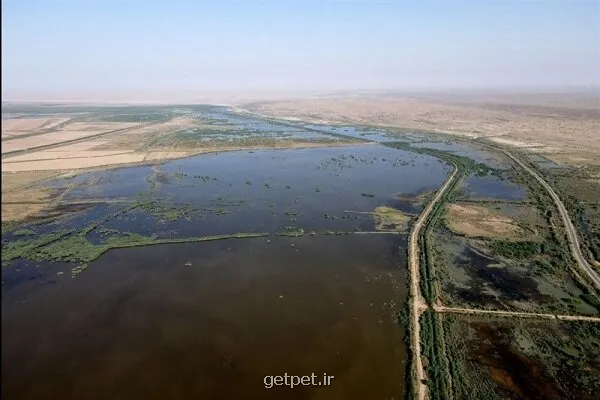 هورالعظیم فقط 38 درصد آب دارد