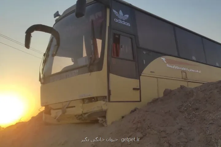 واژگونی اتوبوس در محور خوش ییلاق شاهرود ۲۰ نفر مصدوم شدند