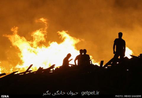 دود آتش سوزی بخش عراقی هورالعظیم در آسمان شهرهای خوزستان، 8 هزار هكتار از هور در آتش سوخت