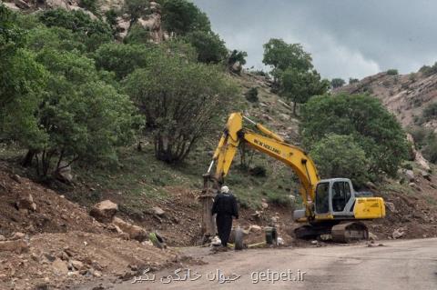 با بیل و كلنگ به جان جنگل ارغوان ایلام افتاده اند