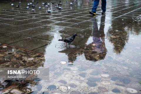 بارش پراكنده باران در شمال كشور