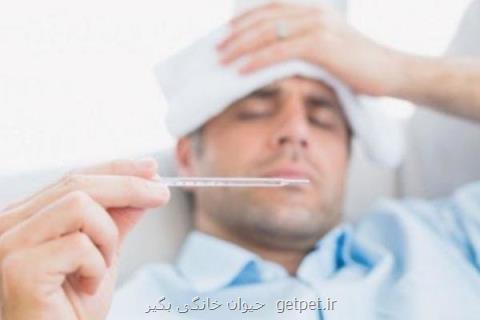 ماجرای آنفلوانزای خوكی در ایران، وزارت بهداشت تكذیب می كند