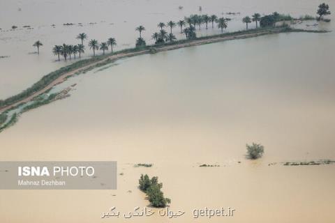 ناگفته های سیل از دید استاد ژئوپلیتیك دانشگاه خوارزمی