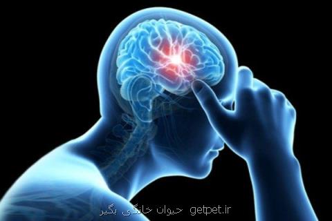 مهم ترین علائم و نشانه های سكته مغزی