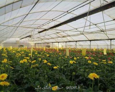 گرمایش تابشی و هیتر تابشی گرماتاب