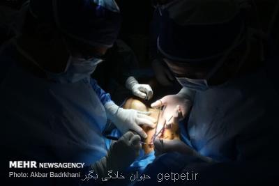 تبلیغات پزشكان در فضای مجازی ساماندهی می شود