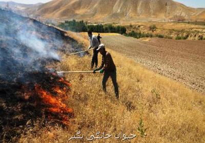 كشاورزان از آتش زدن باقی مانده محصولات زراعی اجتناب كنند