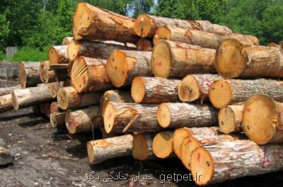 طرح جایگزین جنگلداری درصدد پیشگیری از قاچاق چوب