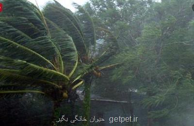 بررسی رابطه احتمالی بارندگی و هوای سرد با سرطان