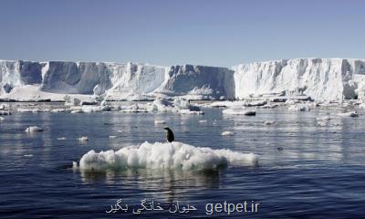 دمای هوا در قطب جنوب برای نخستین بار به بالای ۲۰ درجه رسید