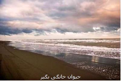 تصویربرداری آكوستیك از بستر دریا در حوضچه اسكله امیرآباد مازندران