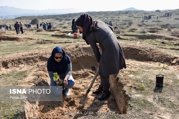 لزوم كاشت درختان بی نیاز از آبیاری مستمر