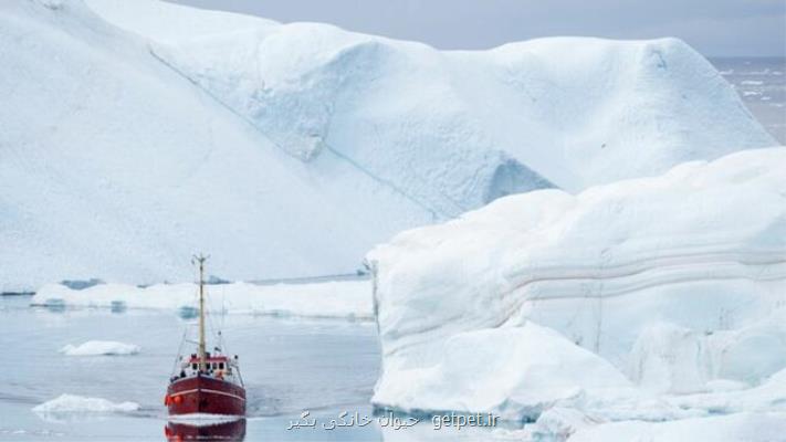 گرم شدن قطب شمال و آینده نامعلوم ساكنان بومی