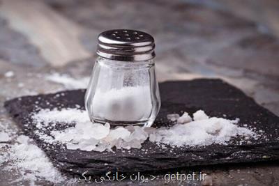 زیاده روی در مصرف نمك باعث تضعیف سیستم ایمنی بدن می شود