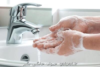 تب و تاب بازار محصولات بهداشتی تقلبی