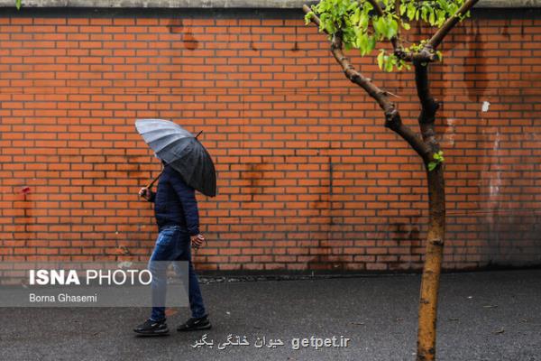 ادامه بارش ها در نوار شمالی كشور طی امروز