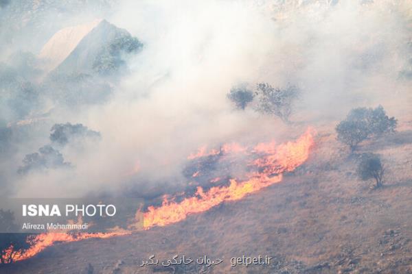 آتش سوزی جنگل های تنگ تامرادی بویراحمد مهار گشت