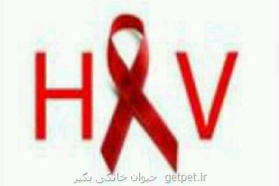 ویروس HIV از مغز به سایر نقاط بدن منتقل می شود