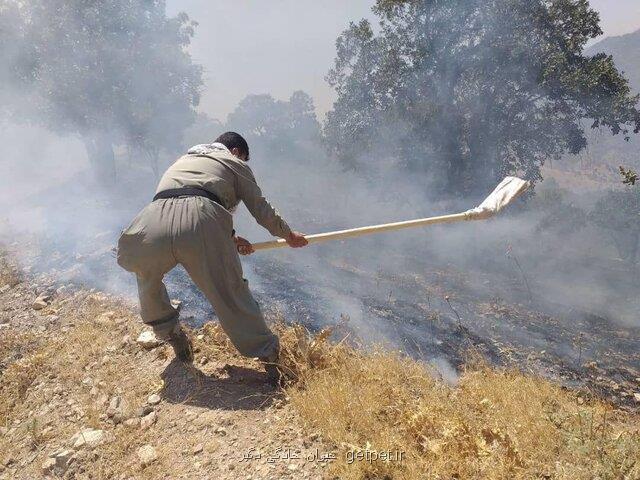 آتش منطقه بوزین و مره خیل كرمانشاه هنوز اطفا نشده است