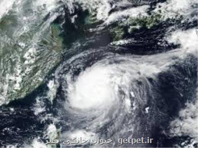 اعلام اخطار در شبه جزیره كره با نزدیك شدن طوفان مایساك