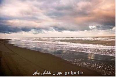افزایش ۴ تا ۷ درجه ای دما در شمال كشور