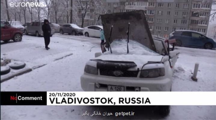 اعلام وضعیت اضطراری در شرق روسیه به دنبال طوفان و یخبندان