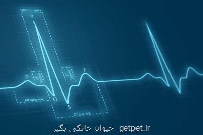 بالا رفتن خطر بیماری قلبی در زنان پس از یائسگی