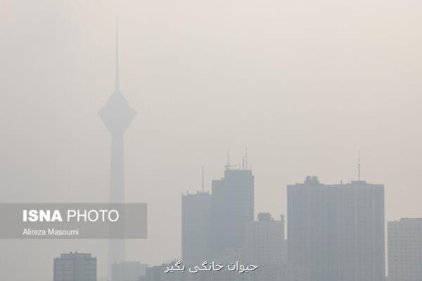 ۳ اطلاعیه هشداری هواشناسی درباره آلودگی شدید هوای ۸ كلانشهر و طوفانی شدن خلیج فارس و دریاها