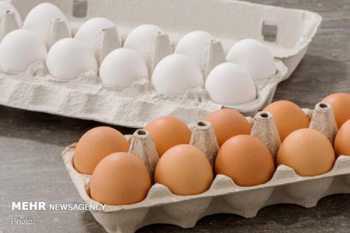چگونه از آلودگی تخم مرغ جلوگیری نماییم