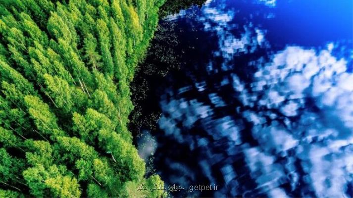 تأثیر انسان بر چرخه آب جهان